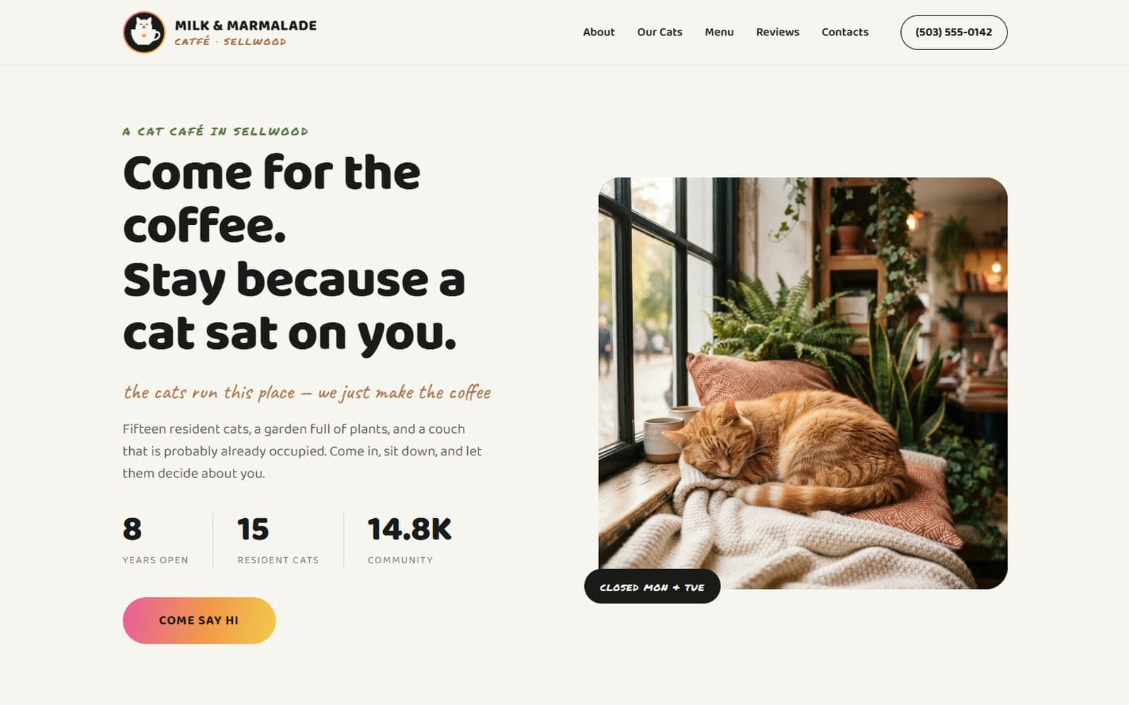 Milk & Marmalade — a sample site for a cat café, with a bold headline beside a photo of a ginger cat asleep on a window sill.